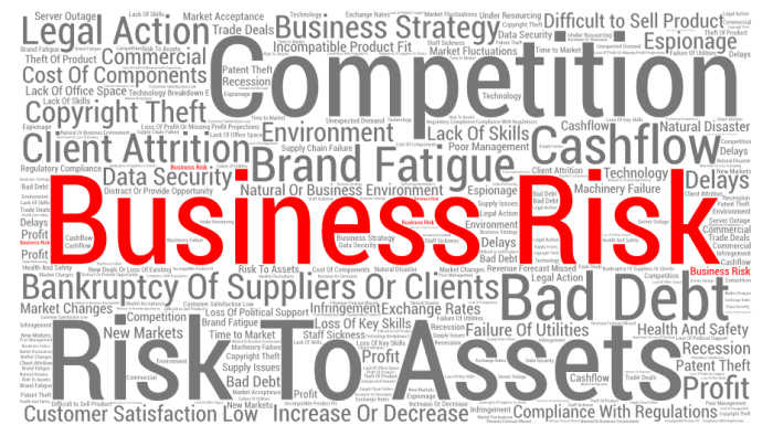 The Top 50 Business Risks and how to manage them