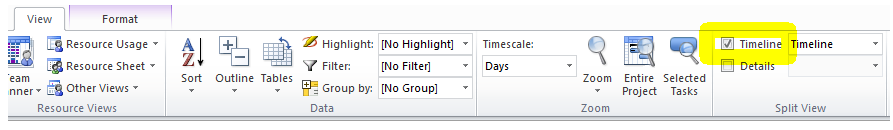 tick the show timeline check box to view the timeline in Microsoft project 2010